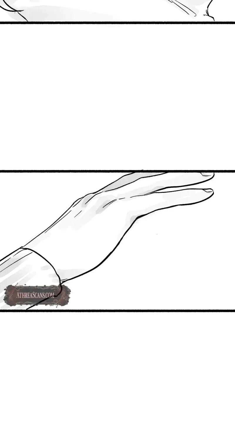 Common and Widespread Chapter 2 page 17 - 