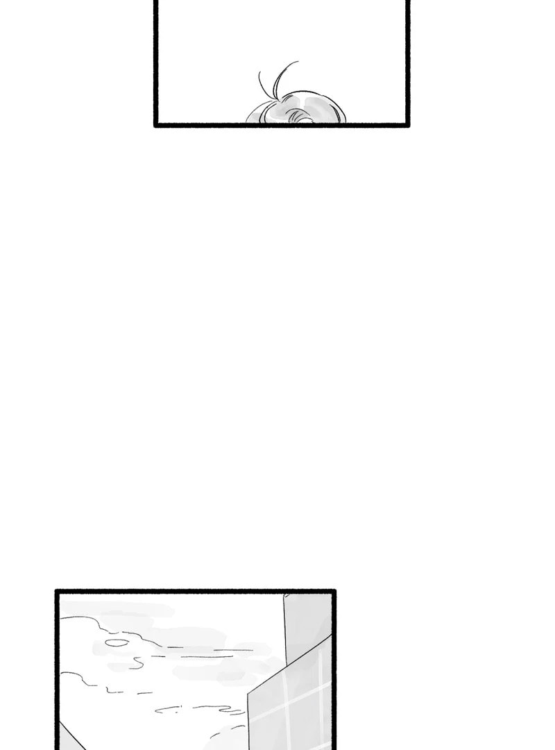 Common and Widespread Chapter 22 page 2 - 