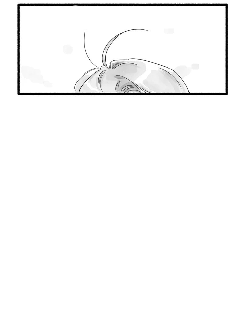 Common and Widespread Chapter 22 page 4 - 