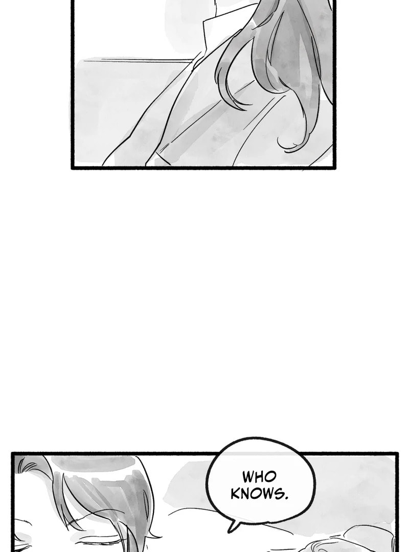 Common and Widespread Chapter 24 page 11 - 