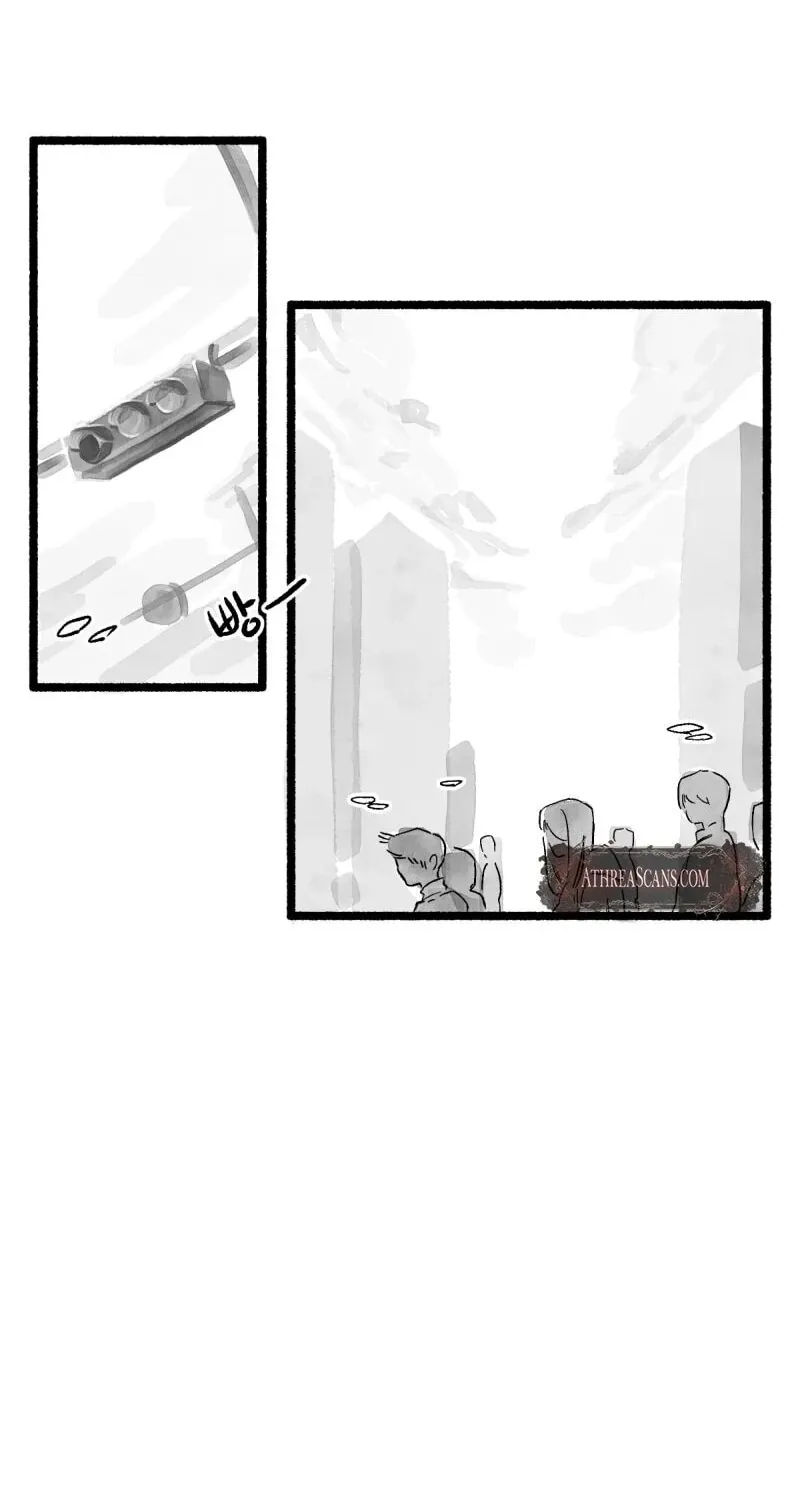 Common and Widespread Chapter 3 page 16 - 
