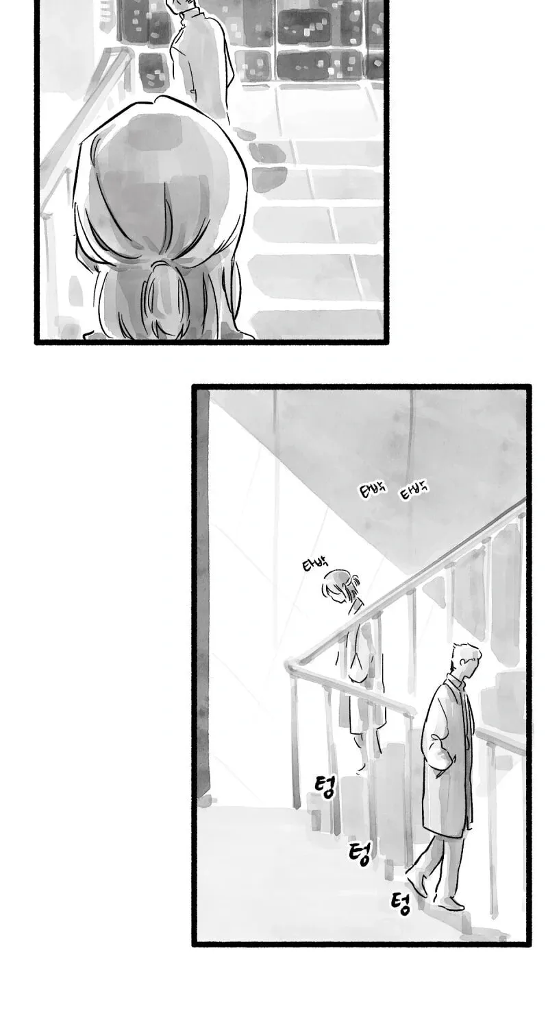Common and Widespread Chapter 4 page 11 - 