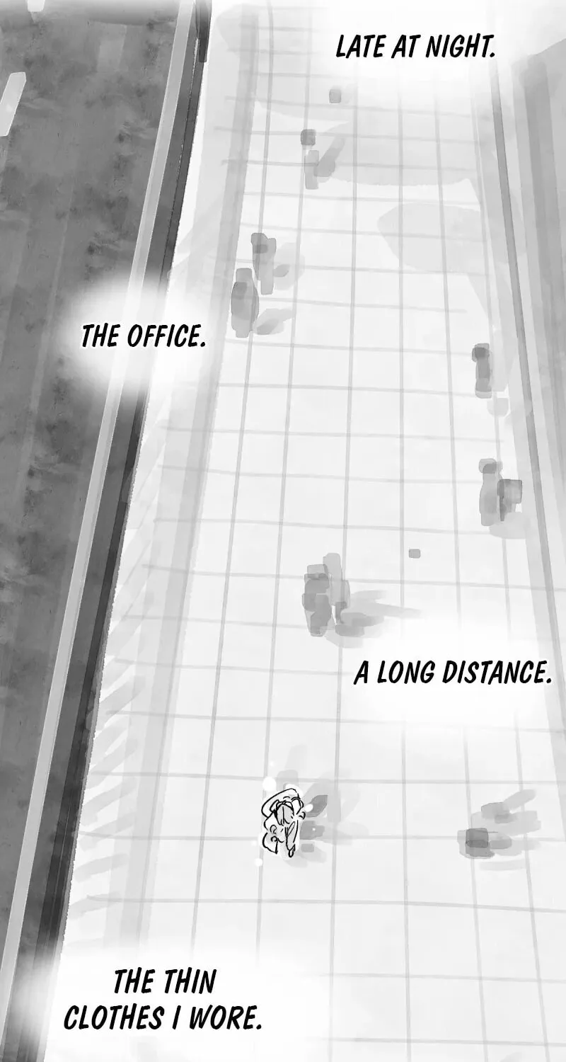 Common and Widespread Chapter 4 page 28 - 