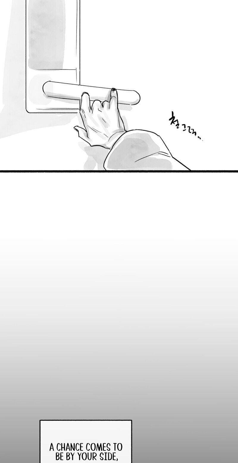 Common and Widespread Chapter 50 page 101 - 