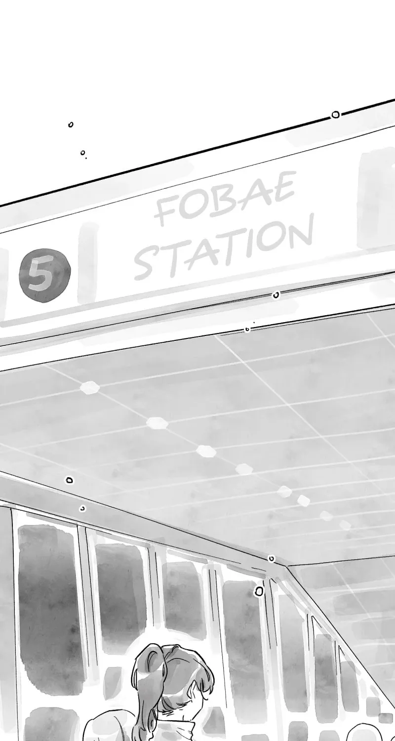 Common and Widespread Chapter 6 page 38 - 