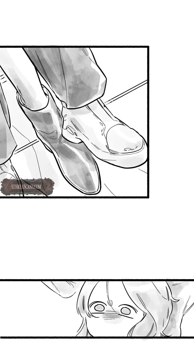 Common and Widespread Chapter 7 page 43 - 