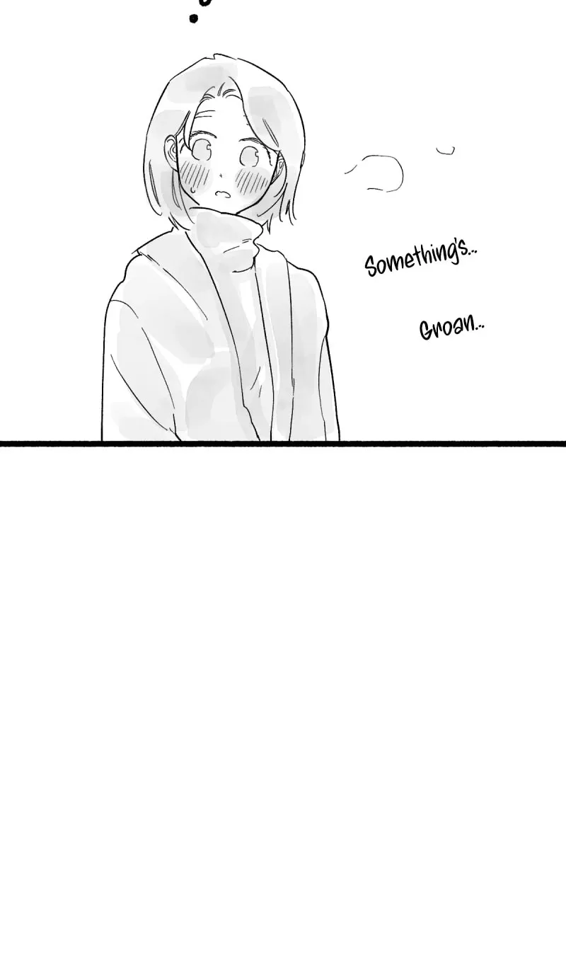 Common and Widespread Chapter 8 page 66 - 