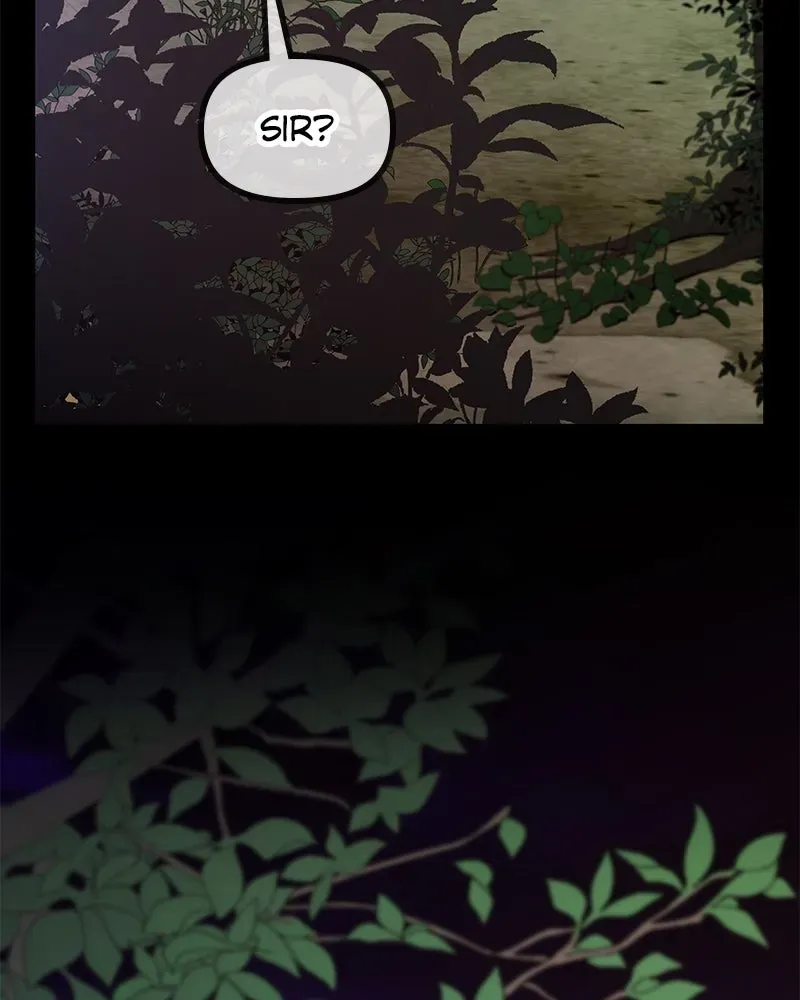 Compatibility Award Chapter 9 page 62 - 