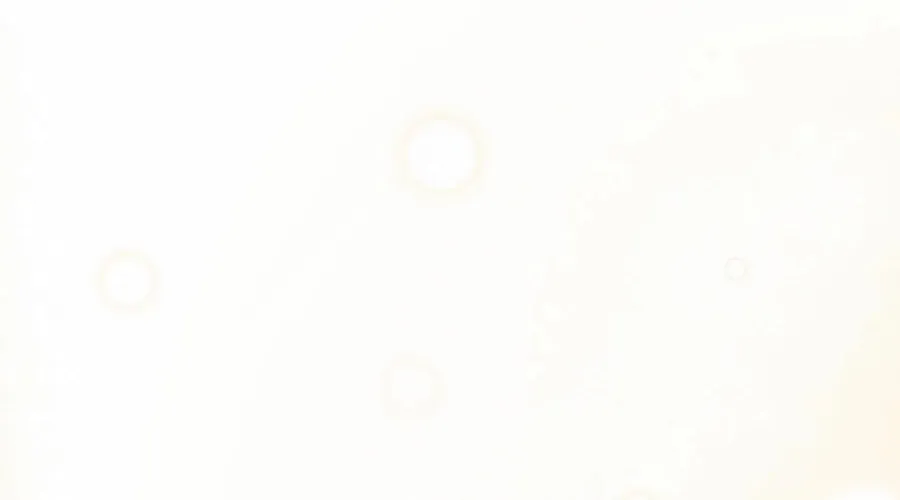 Concept Grasping Magic Genius Chapter 15 page 49 - 