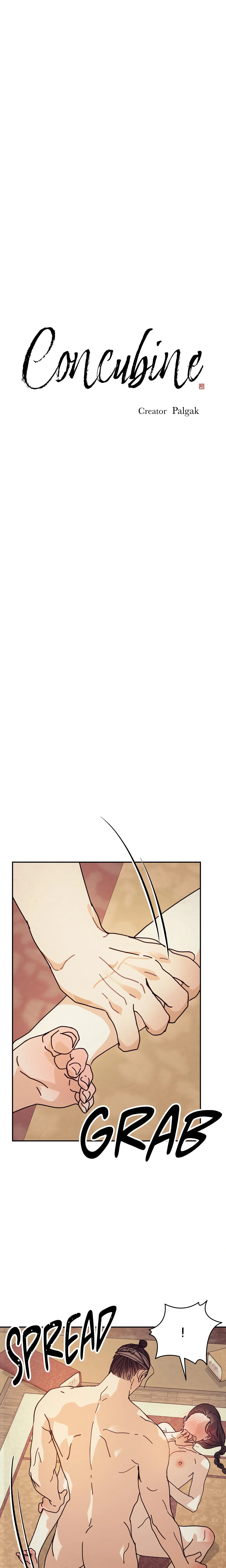 Concubine (Palgak) (Uncensored) Chapter 3 page 1 - 