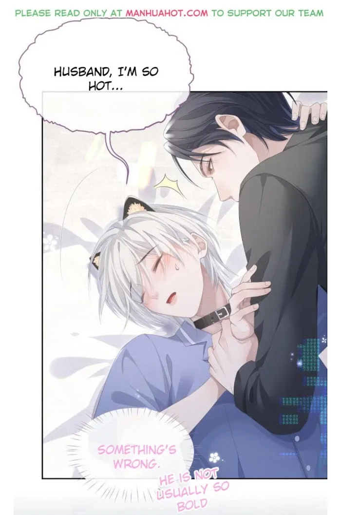 Continued Love Chapter 15 page 41 - 