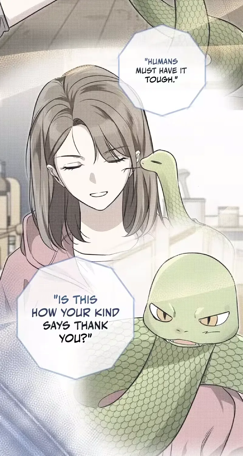 Contract Marriage and Life With the Adorable Twins End Today... Or So I Thought Chapter 3 page 65 - 