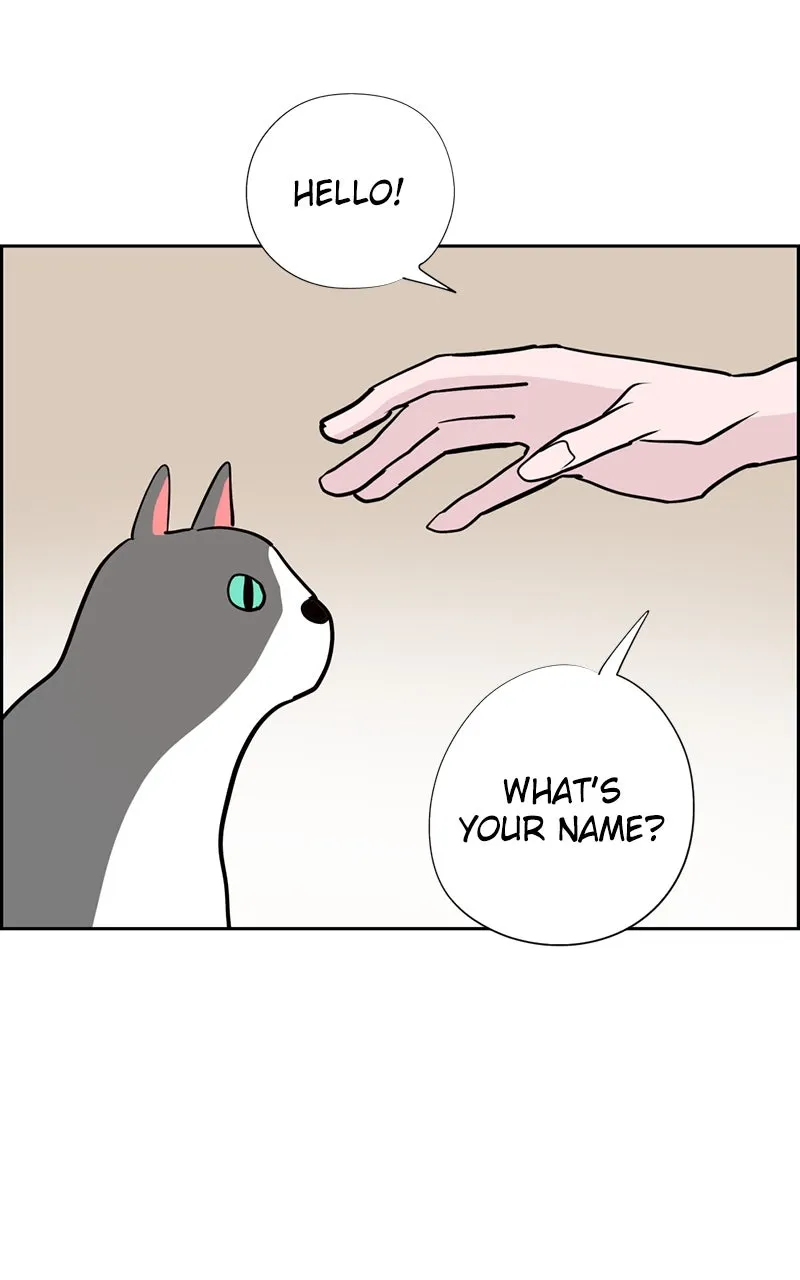 Copy-Paste Romance Chapter 22 page 86 - 