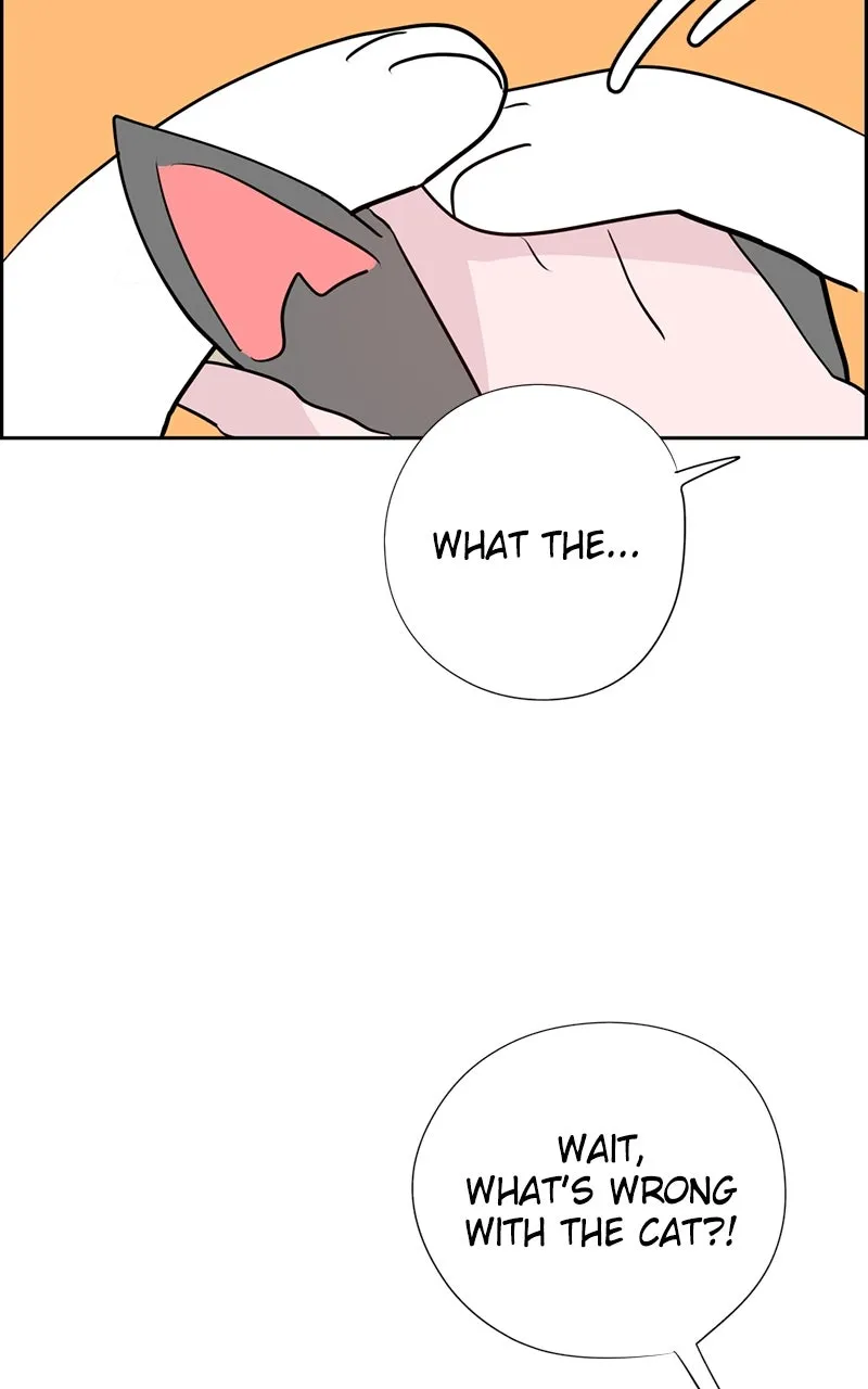 Copy-Paste Romance Chapter 22 page 89 - 
