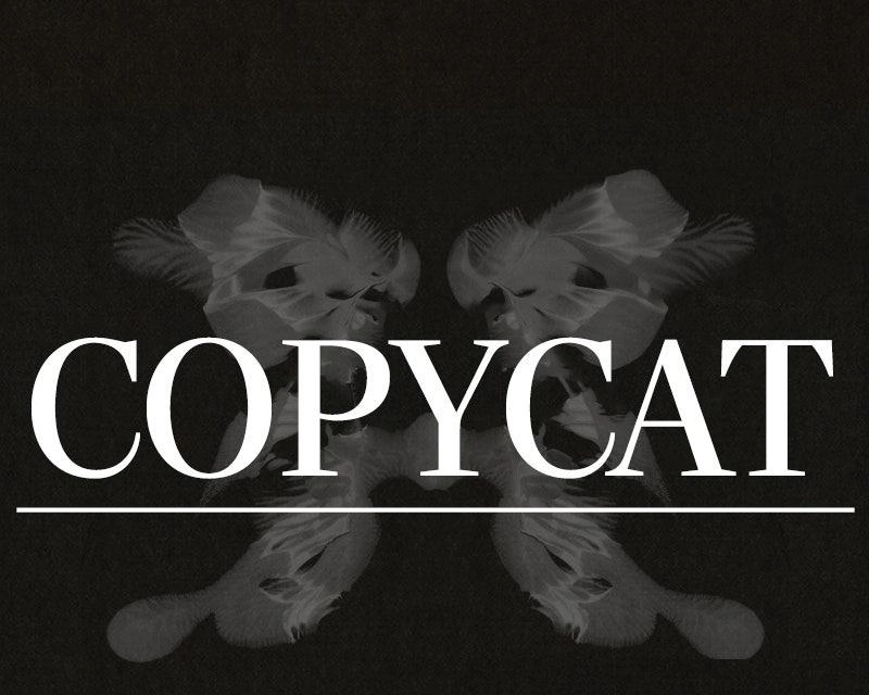 COPYCAT Chapter 10 page 185 - 