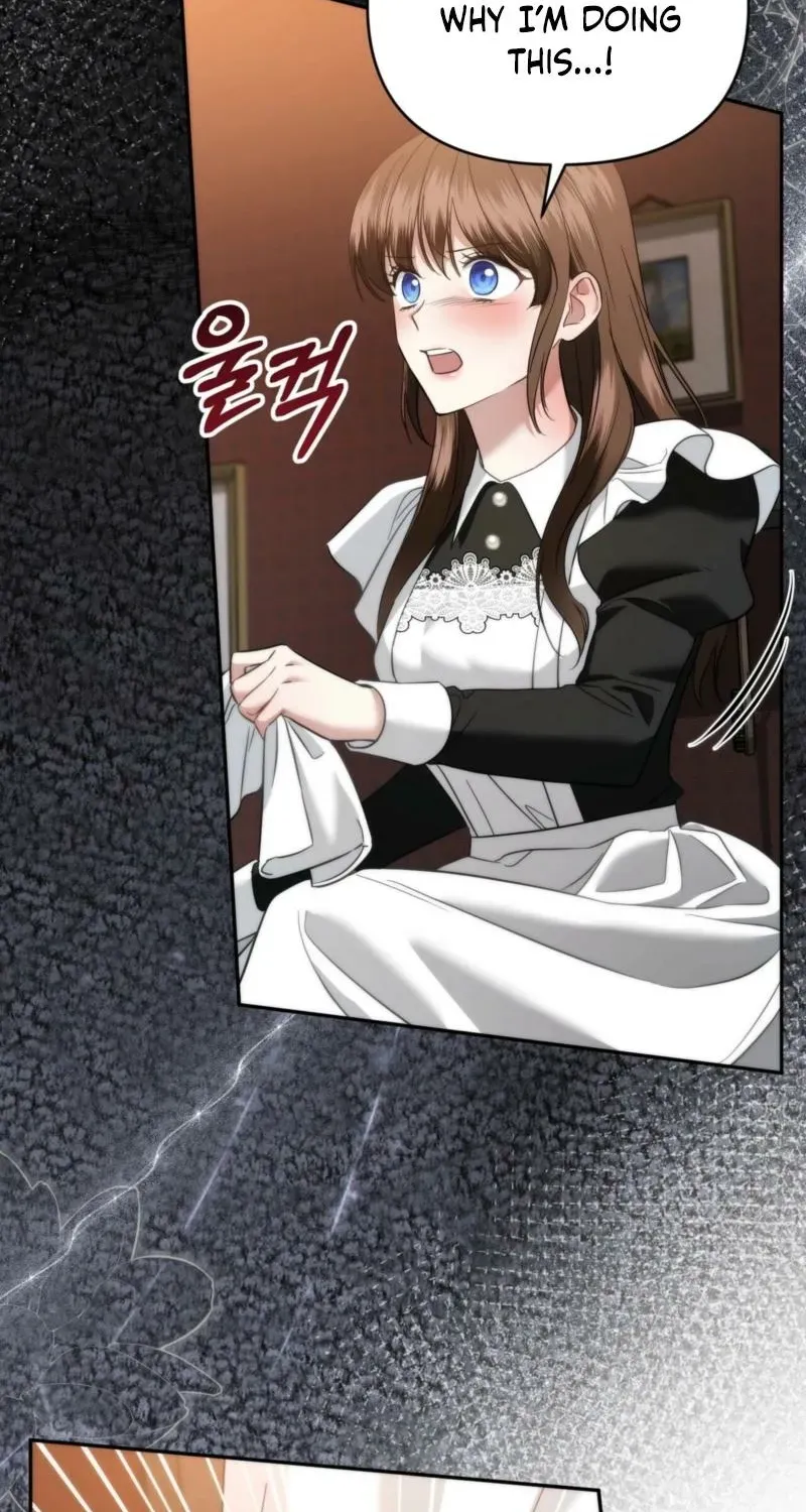 Count Calleigh