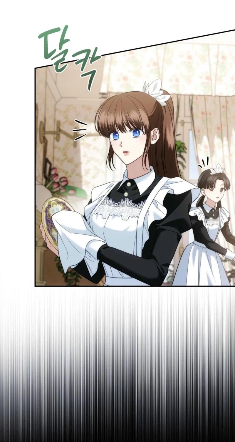 Count Calleigh