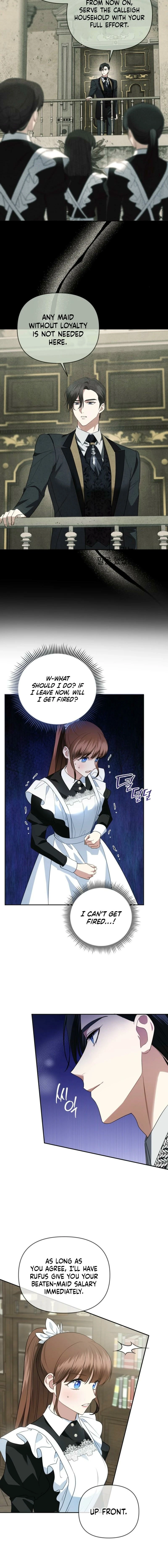 Count Calleigh