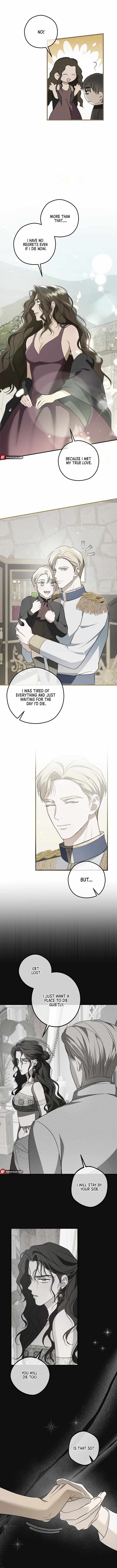 Count Owen