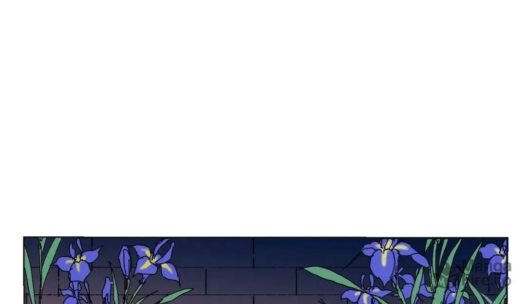 Count Tachibana Chapter 10 page 47 - 