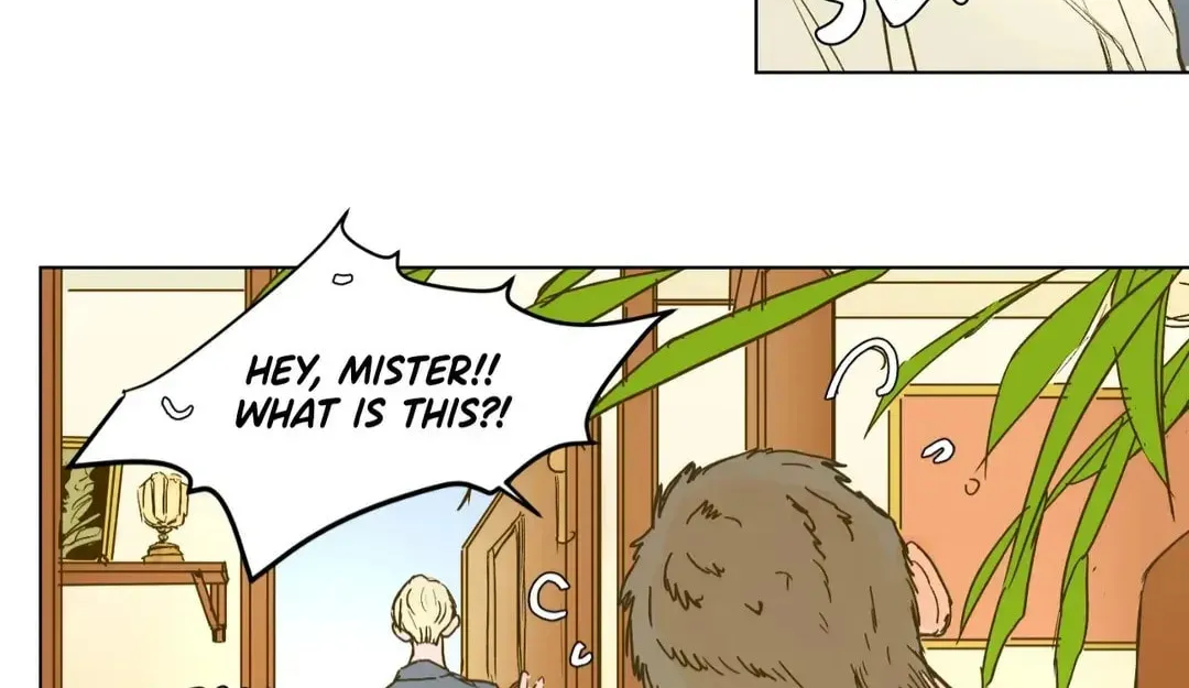 Count Tachibana Chapter 24 page 15 - 