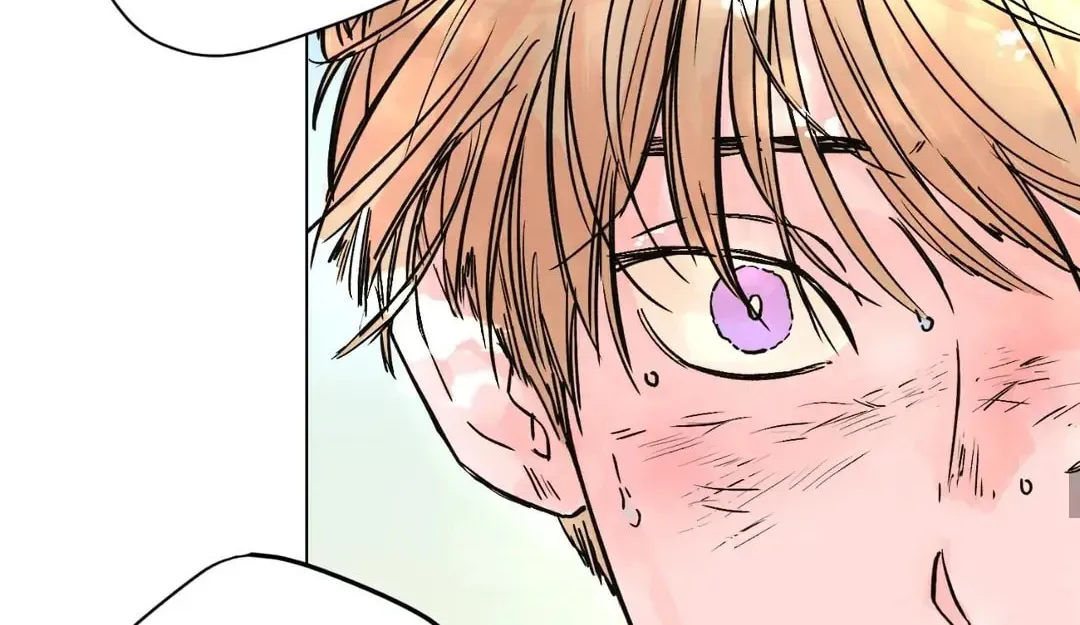 Count Tachibana Chapter 24 page 81 - 