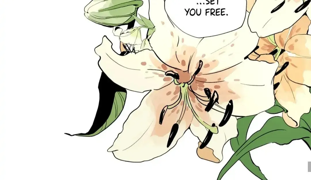 Count Tachibana Chapter 36 page 117 - 
