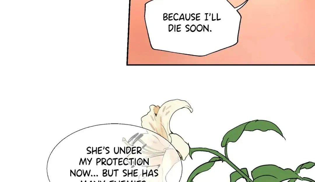 Count Tachibana Chapter 38 page 51 - 