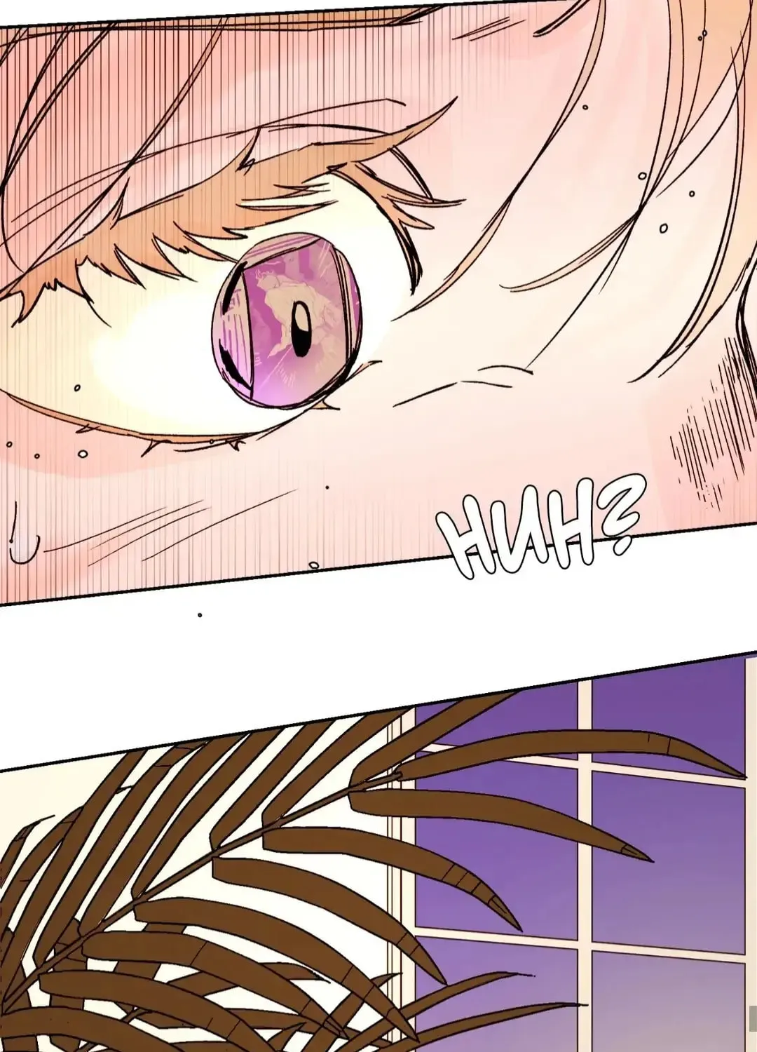 Count Tachibana Chapter 39 page 80 - 