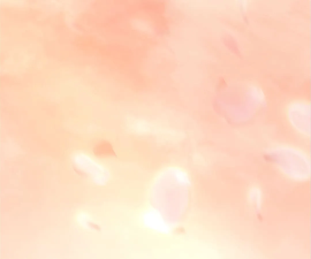 Counter-Attack of a Pregnant Actress Chapter 16 page 84 - 