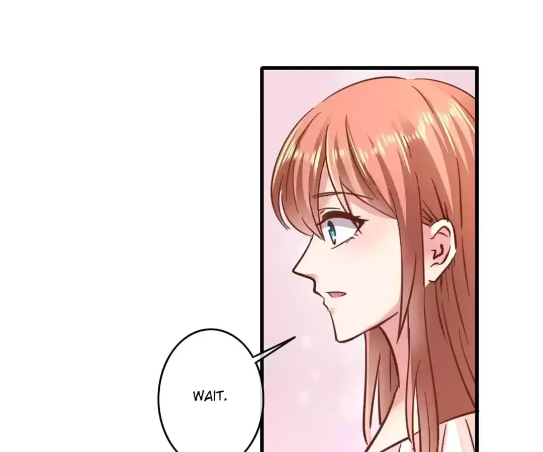 Counter-Attack of a Pregnant Actress Chapter 205 page 4 - 