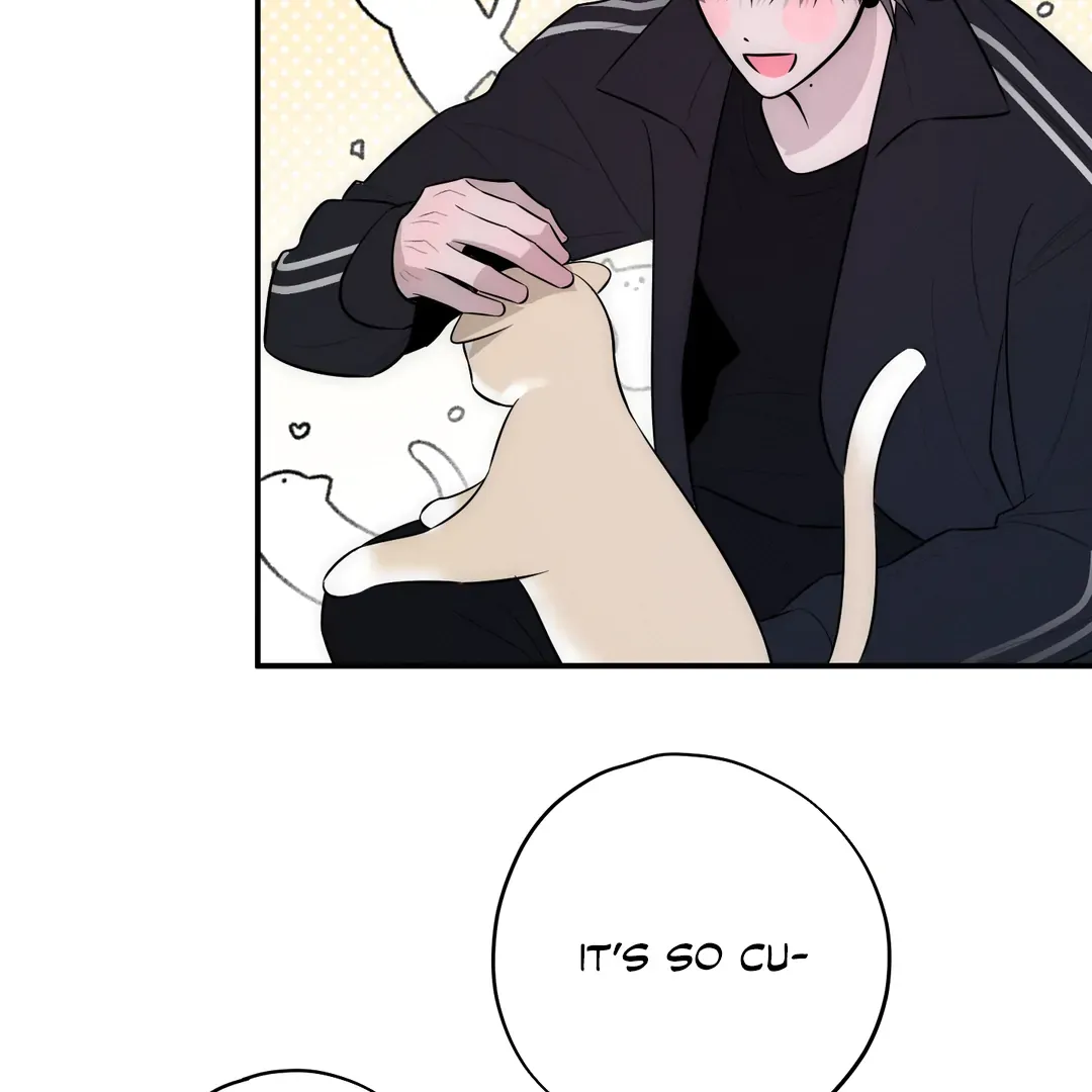 Counter Crush Chapter 5 page 70 - 