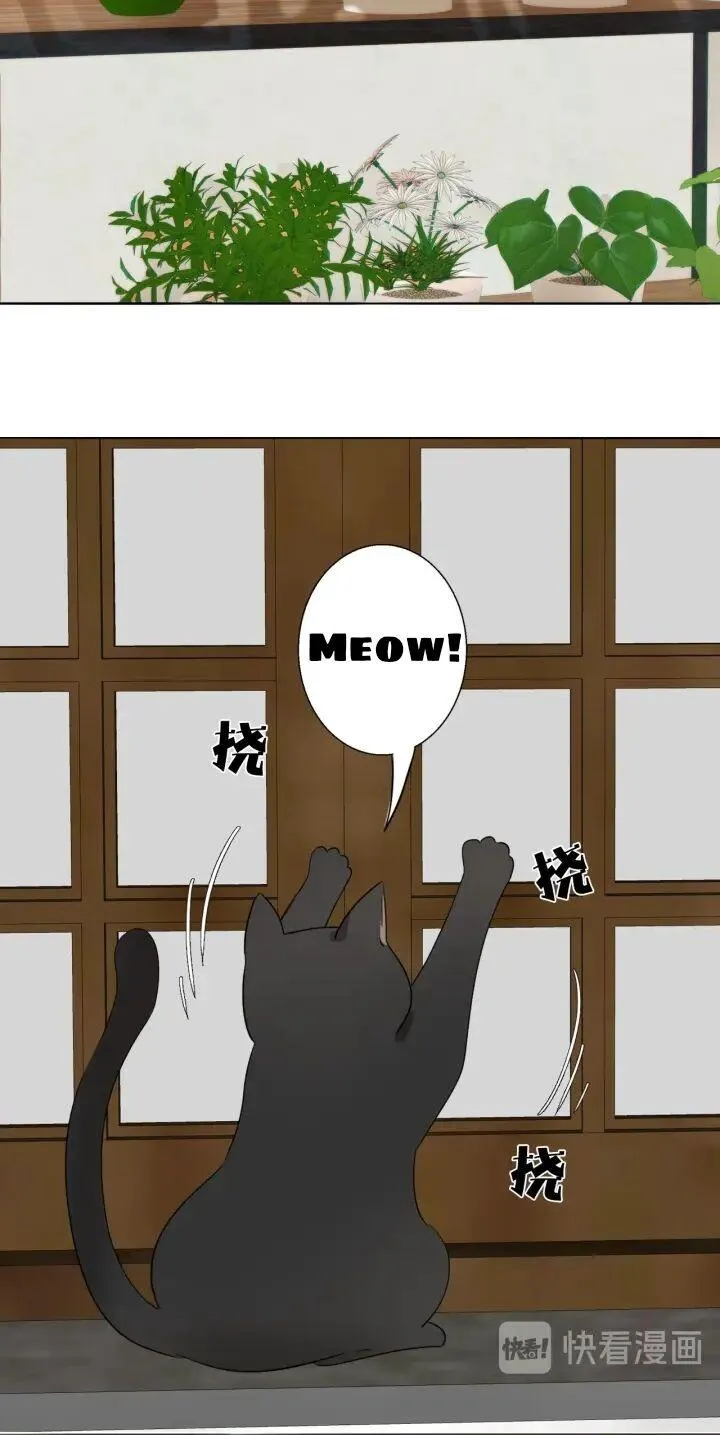 Couple of Mirrors Chapter 3 page 35 - 