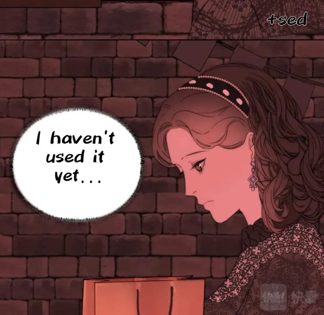 Couple of Mirrors Chapter 38 page 51 - 