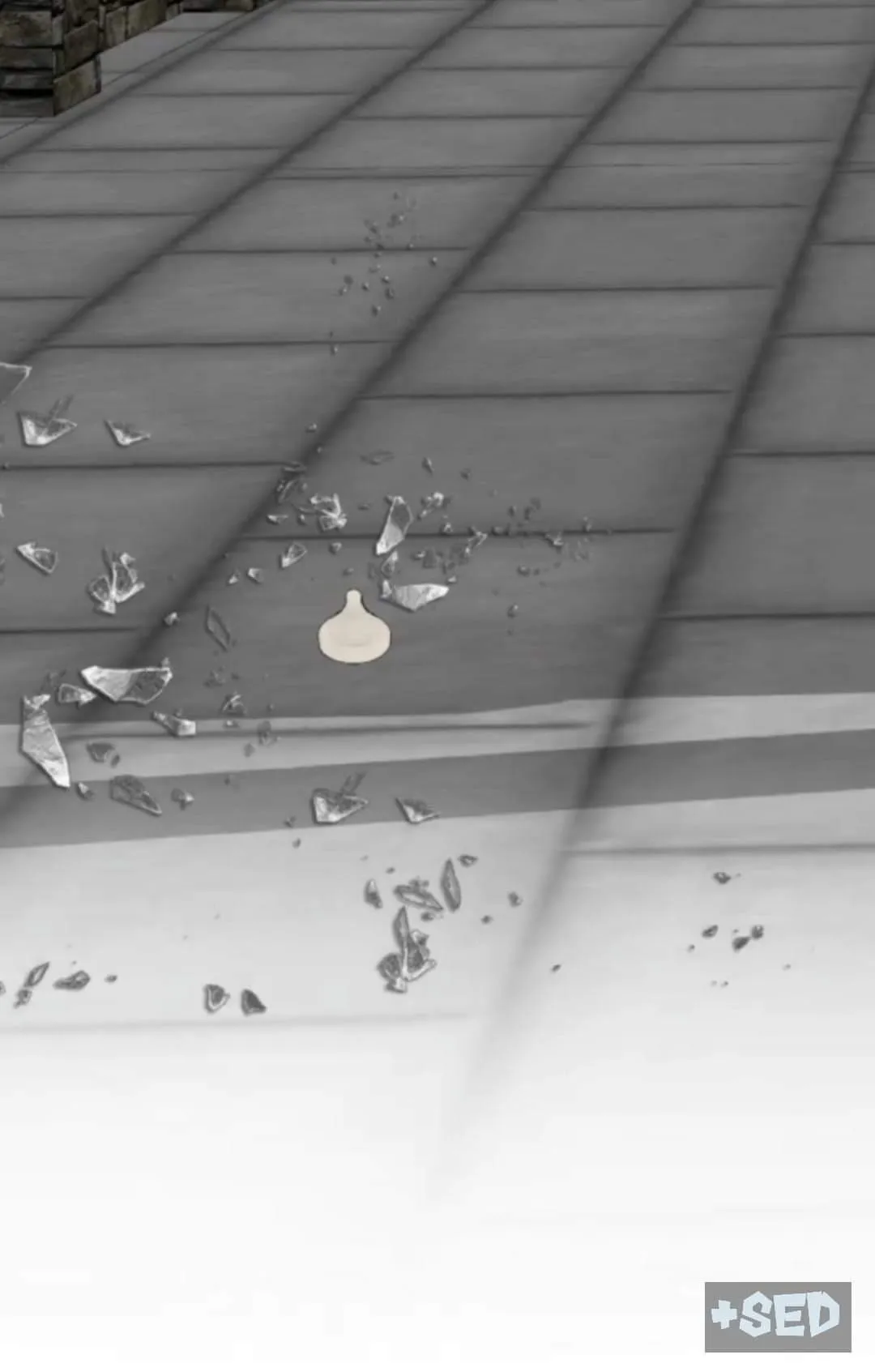 Couple of Mirrors Chapter 54 page 67 - 