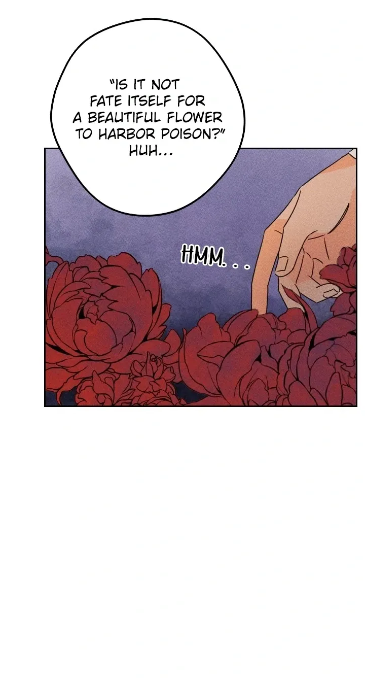 Covet the Scholar, Princess Chapter 19 page 50 - 