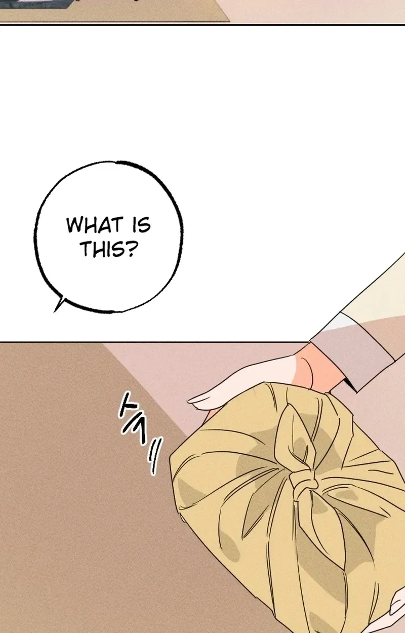 Covet the Scholar, Princess Chapter 22 page 44 - 