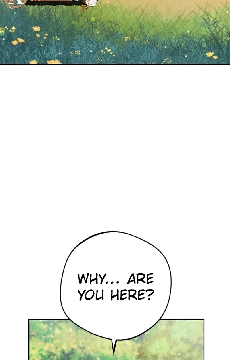 Covet the Scholar, Princess Chapter 24 page 41 - 