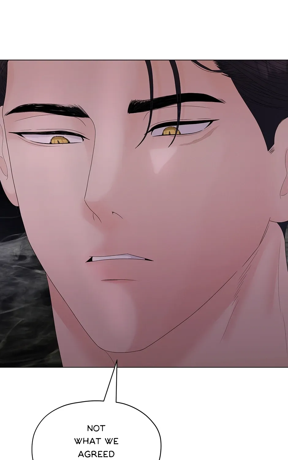 Cradle of the Tiger Chapter 3 page 17 - 