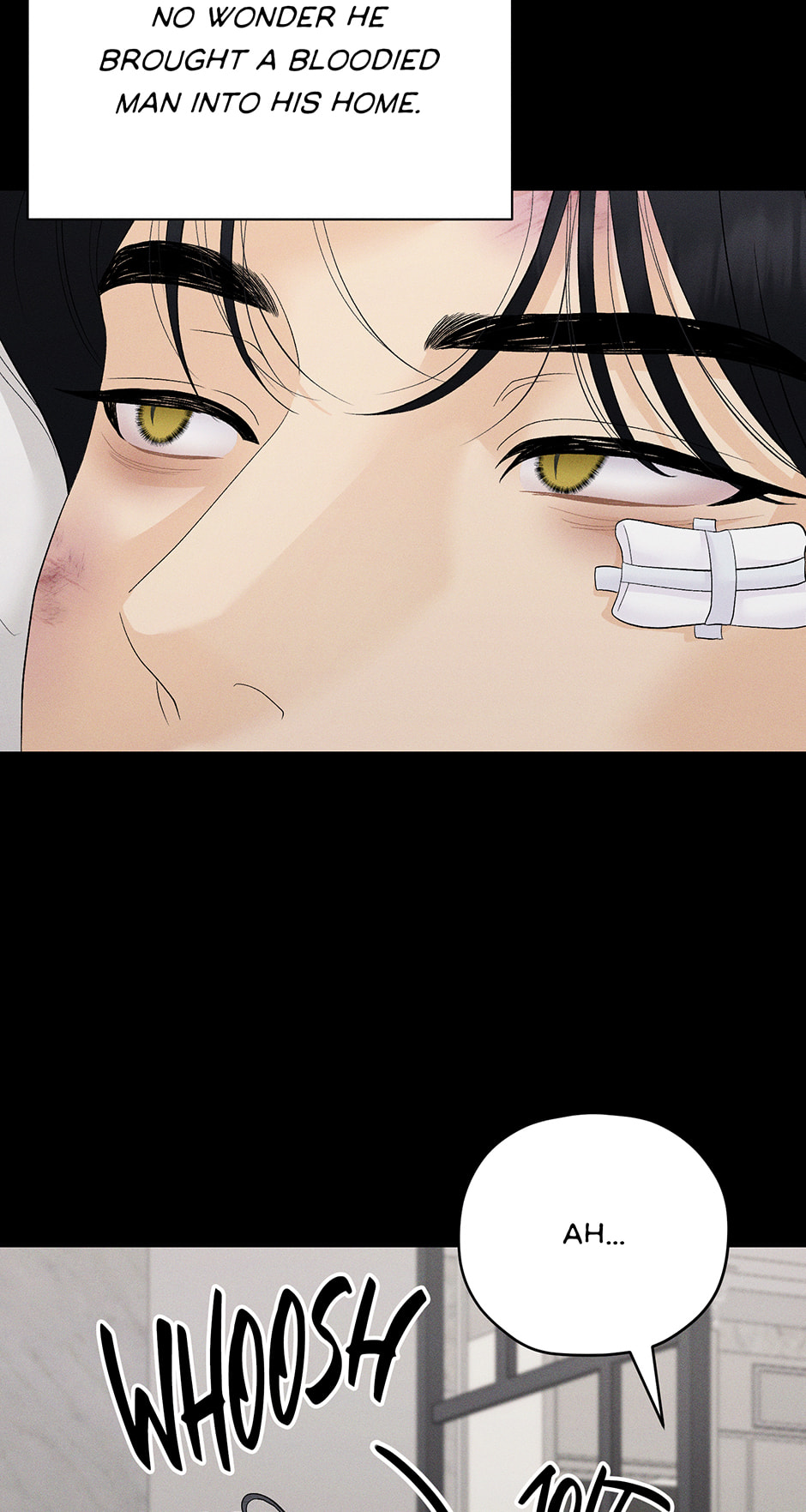 Cradle of the Tiger Chapter 42 page 29 - 
