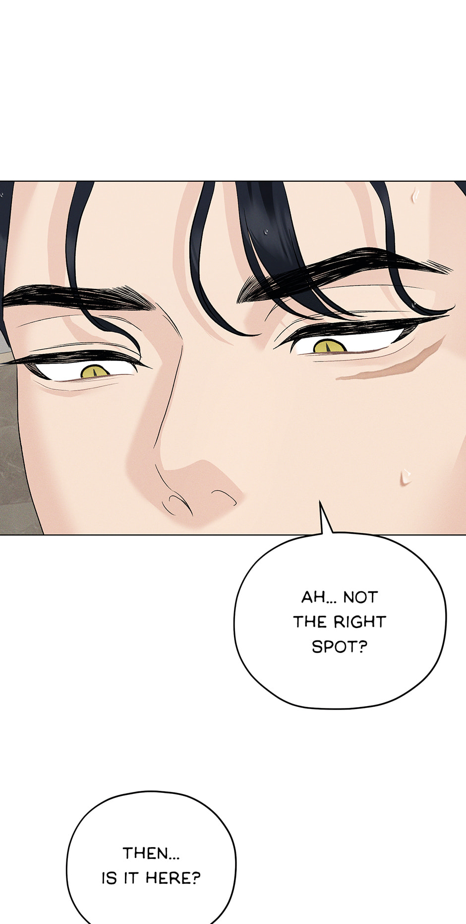 Cradle of the Tiger Chapter 48 page 96 - 