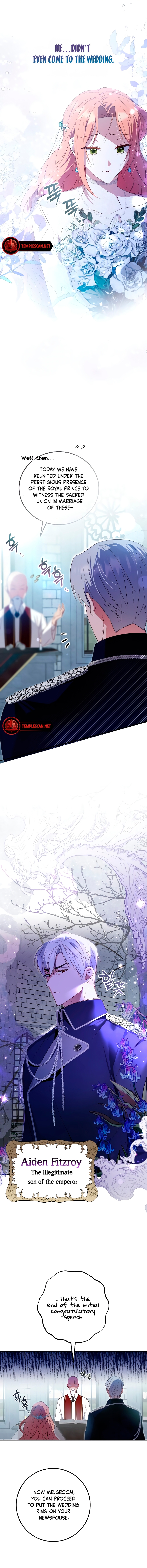 Crash On Paradise Chapter 1 page 7 - 