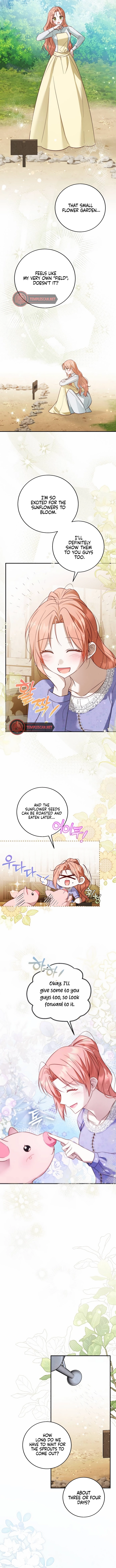 Crash On Paradise Chapter 21 page 5 - 
