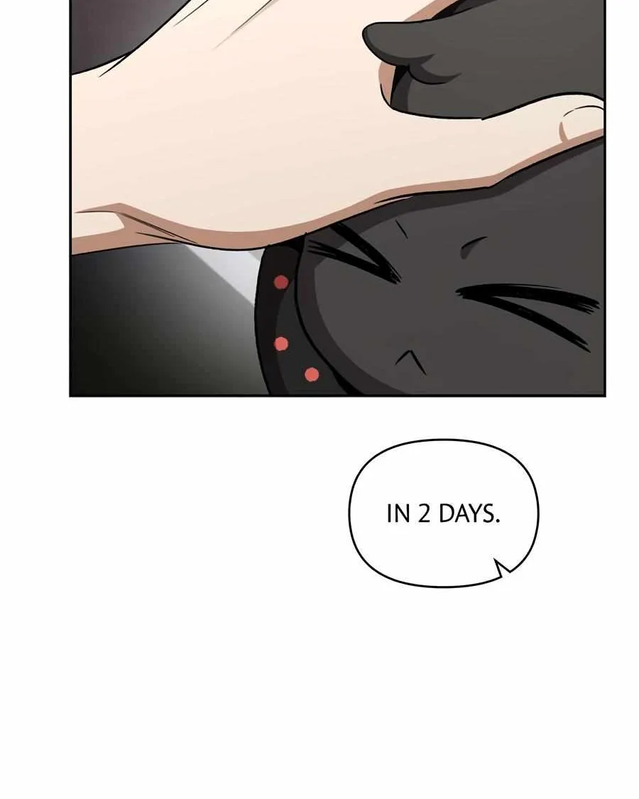 Creating a Hidden Ending Chapter 22 page 72 - 