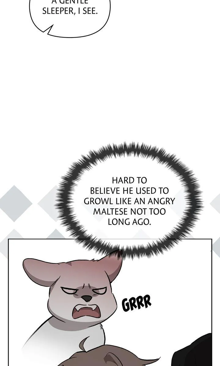 Creating a Hidden Ending Chapter 9 page 43 - 