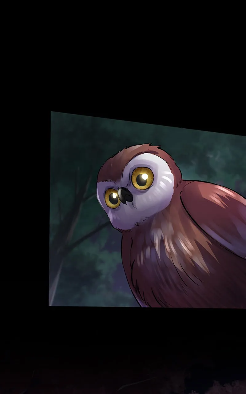 Crown of Feathers Chapter 8 page 52 - 
