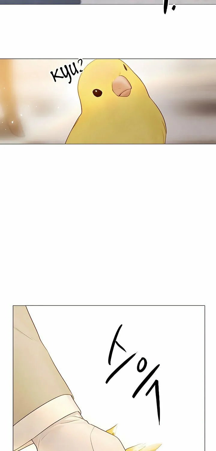 Cry, or Better Yet, Beg Chapter 11 page 65 - 