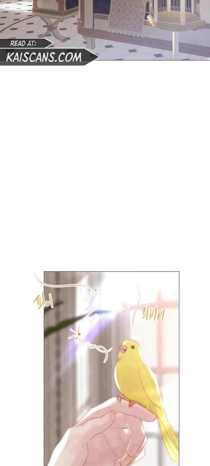 Cry, or Better Yet, Beg Chapter 14 page 41 - 