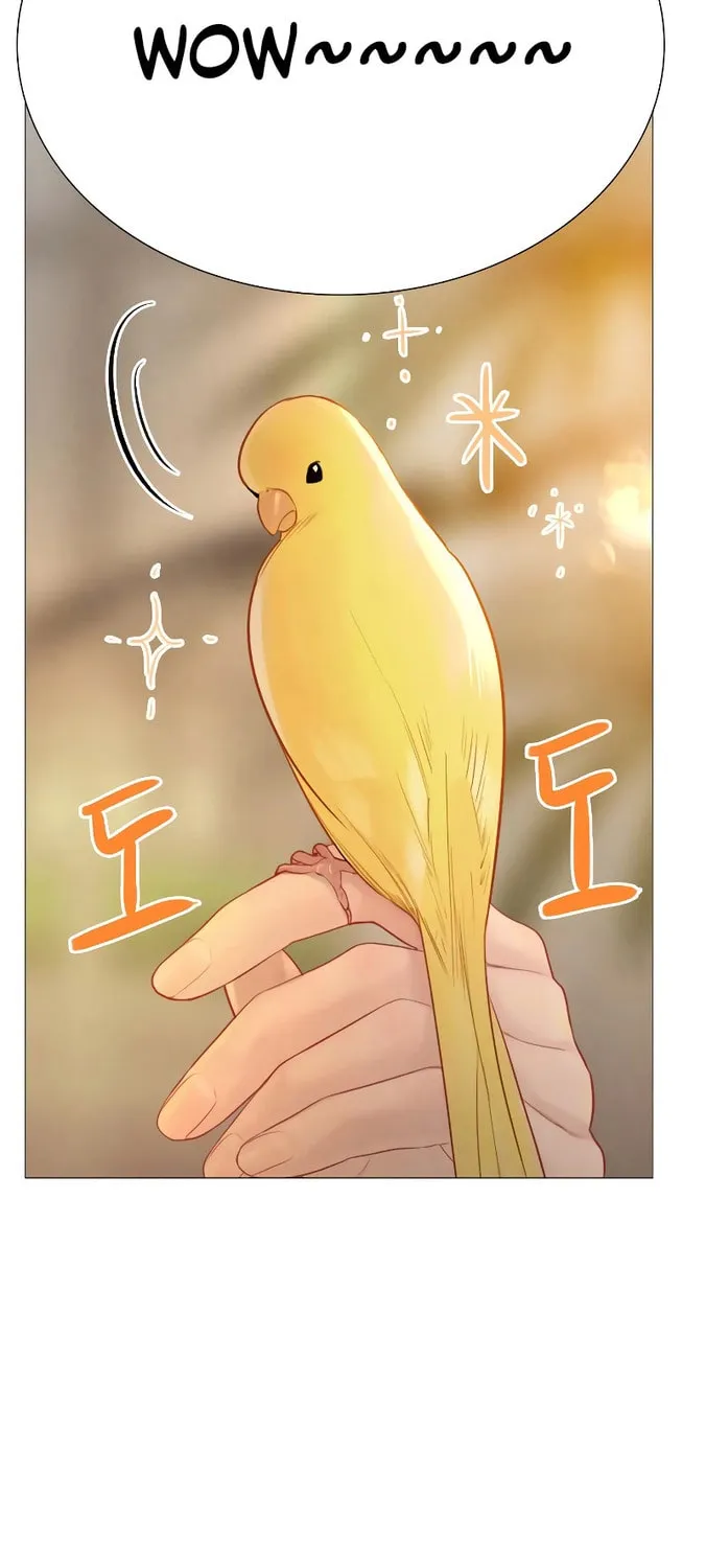Cry, or Better Yet, Beg Chapter 21 page 17 - 