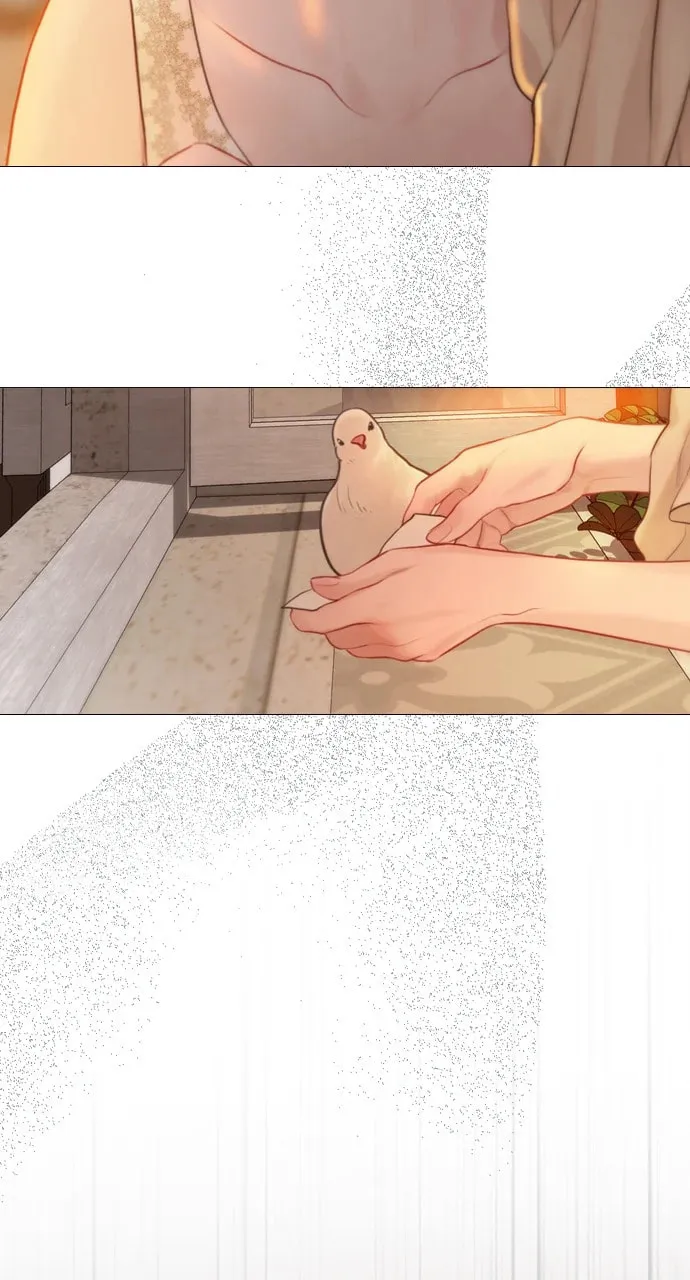 Cry, or Better Yet, Beg Chapter 43 page 71 - 